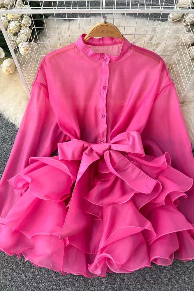 Elegant Mesh Long Sleeve Mini Dress