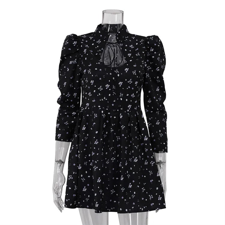 Printed Lace Up High Waist A-Line Mini Dress