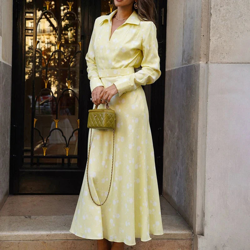 Printed V Neck Long Sleeve A-Line Maxi Dress