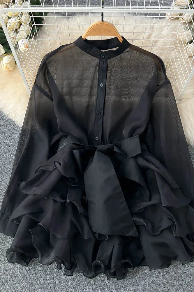 Elegant Mesh Long Sleeve Mini Dress