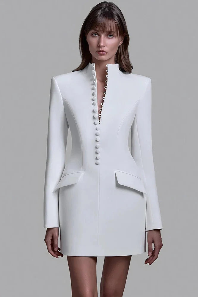 Long Sleeve Single-Breasted Turtleneck Mini Dress