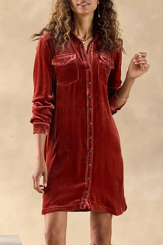 Elegant Pocket Single Breasted Mini Dress