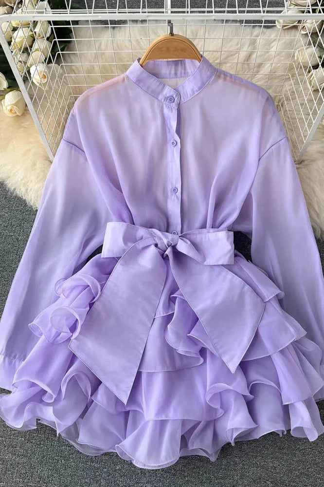 Elegant Mesh Long Sleeve Mini Dress