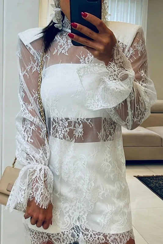 Hollow Out Loose Lace Long Sleeve Mini Dress