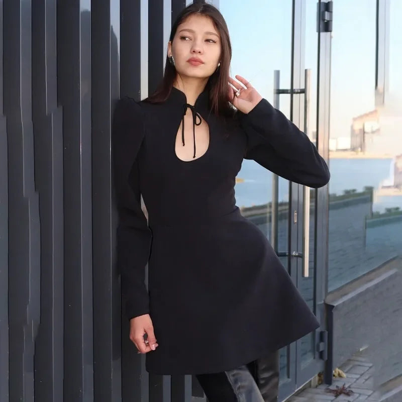Hollow Out Puff Sleeve Lace-Up Slim Mini Dress